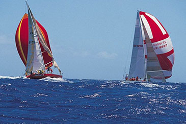 關于經(jīng)銷商申請的資格要求說明